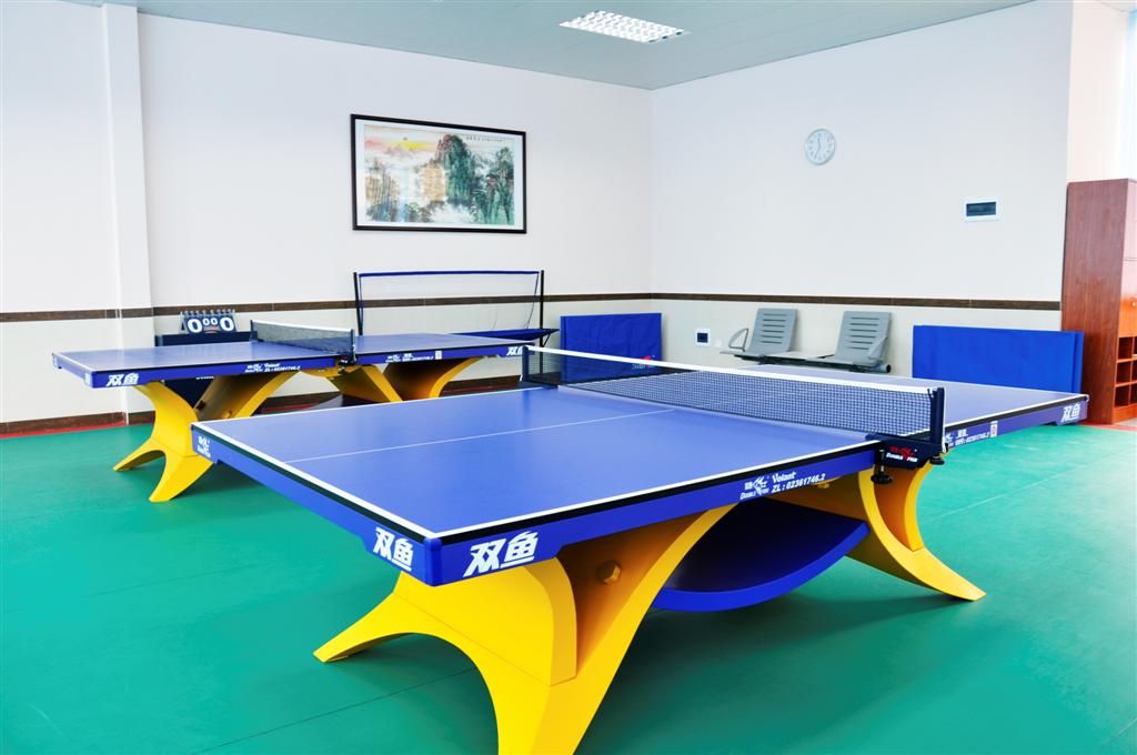 乒乓球、羽毛球馆运动地板